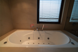 Acarkent A Tipi Satılık Villa