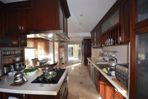 Acarkent A Tipi Satılık Villa