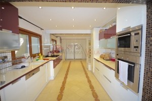 acarkent satılık b tipi villa