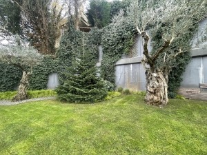 acarkent satılık b tipi villa