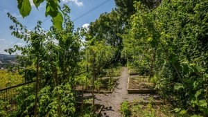 Acarkent C Tipi Satılık Villa