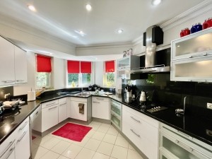 ACARKENT' DE BÜYÜK BAHÇELİ SATILIK VİLLA