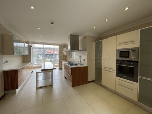 acarkent kiralık villa