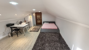 ACARKENT MV'DAN 2 AYRI GİRİŞLİ BAHÇE KULLNIMLI VİLLA