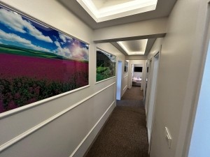 ACARKENT MV'DAN 2 AYRI GİRİŞLİ BAHÇE KULLNIMLI VİLLA