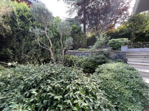 acarkent satılık b revizyon villa