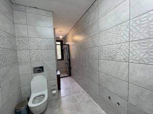 ACARKENT GÖRELE' DE LÜKS EŞYALI KİRALIK MÜSTAKİL VİLLA