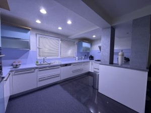 Acarkent Satılık B Tipi Villa