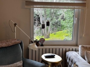 ACARKENT MV'DAN BR HAVUZLU BAHÇESİ BÜYÜK