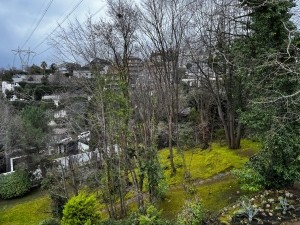 ACARKENT MV'DAN BR HAVUZLU BAHÇESİ BÜYÜK