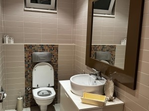 ACARKENT MV'DAN BR HAVUZLU BAHÇESİ BÜYÜK