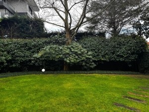 ACARKENT MV'DAN BR HAVUZLU BAHÇESİ BÜYÜK