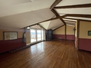 acarkent büyük bahçeli satılık malikhane