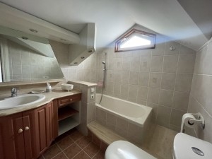 acarkent büyük bahçeli satılık malikhane