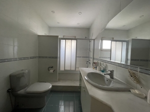 acarkent büyük bahçeli satılık malikhane