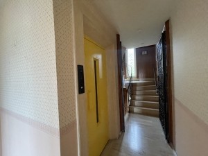 acarkent büyük bahçeli satılık malikhane