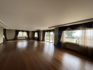 acarkent büyük bahçeli satılık malikhane