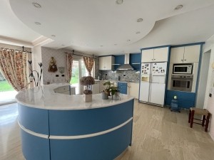 acarkent büyük bahçeli satılık malikhane