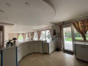 acarkent büyük bahçeli satılık malikhane