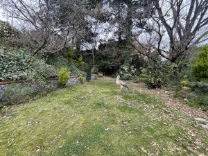 acarkent büyük bahçeli satılık malikhane