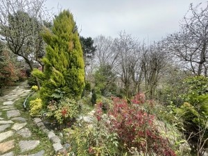 acarkent büyük bahçeli satılık malikhane