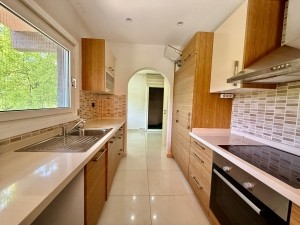 Acarkent Yüksek Konumlu ve Geniş Bahçeli Kiralık Villa