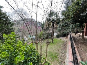 Acarkent Kiralık C Tipi