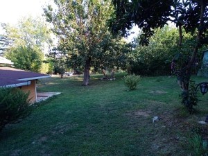 ACARKENT MARKAVİLLA'DAN HİDİV EVLERİ SİTESİ EMSALSİZ KARĞIR EV