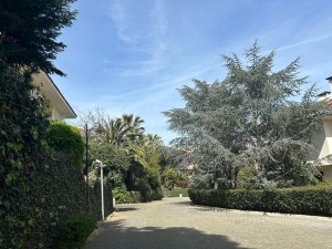 ACARKENT MARKAVİLLA'DAN HİDİV EVLERİ SİTESİ EMSALSİZ KARĞIR EV