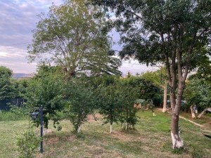 ACARKENT MARKAVİLLA'DAN HİDİV EVLERİ SİTESİ EMSALSİZ KARĞIR EV