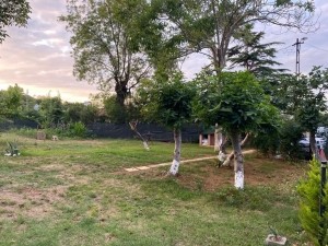 ACARKENT MARKAVİLLA'DAN HİDİV EVLERİ SİTESİ EMSALSİZ KARĞIR EV