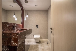 acarkent büyük bahçe br tipi modern sıfır satılık villa