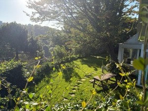 Marka Villa'dan Doğa İle İçiçe Okazyon Villa